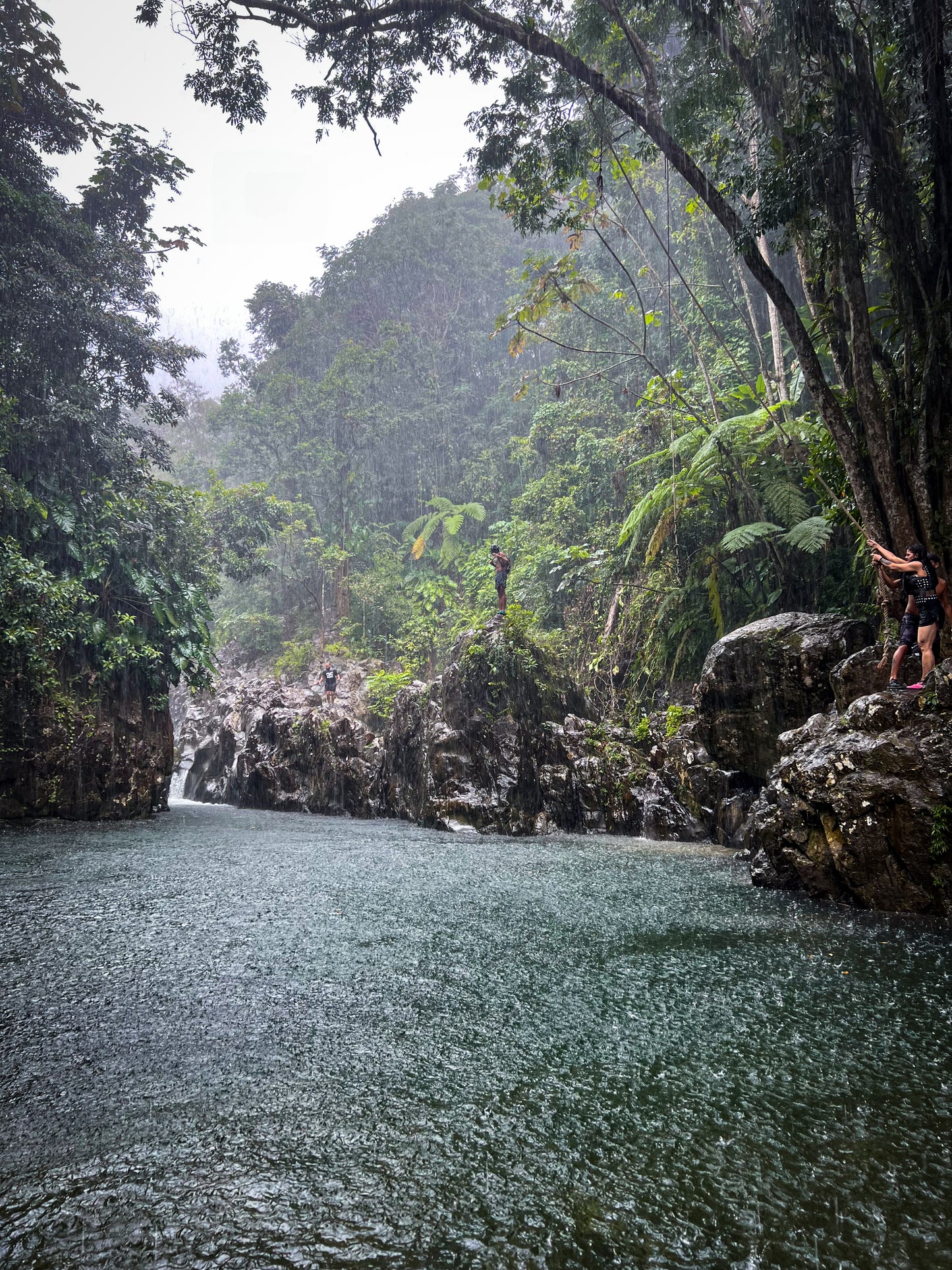 Rainforest River Adventure (Transportation Included)