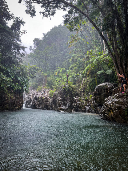Rainforest River Adventure (Transportation Included)