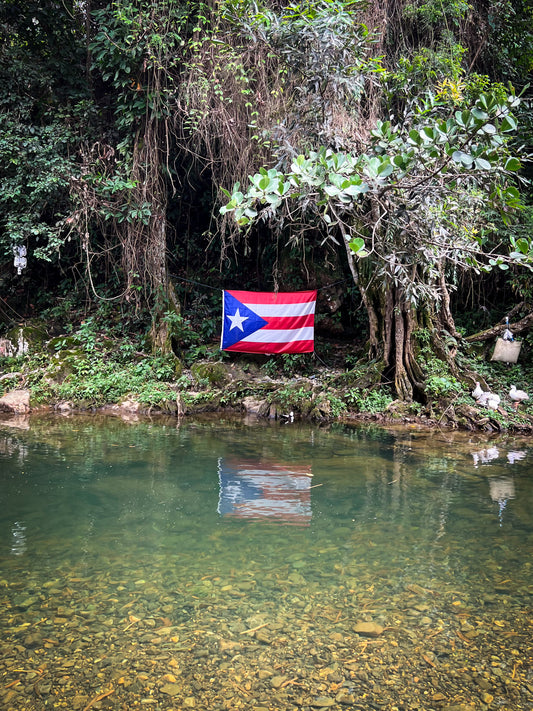 Rainforest River Adventure (Transportation Included)