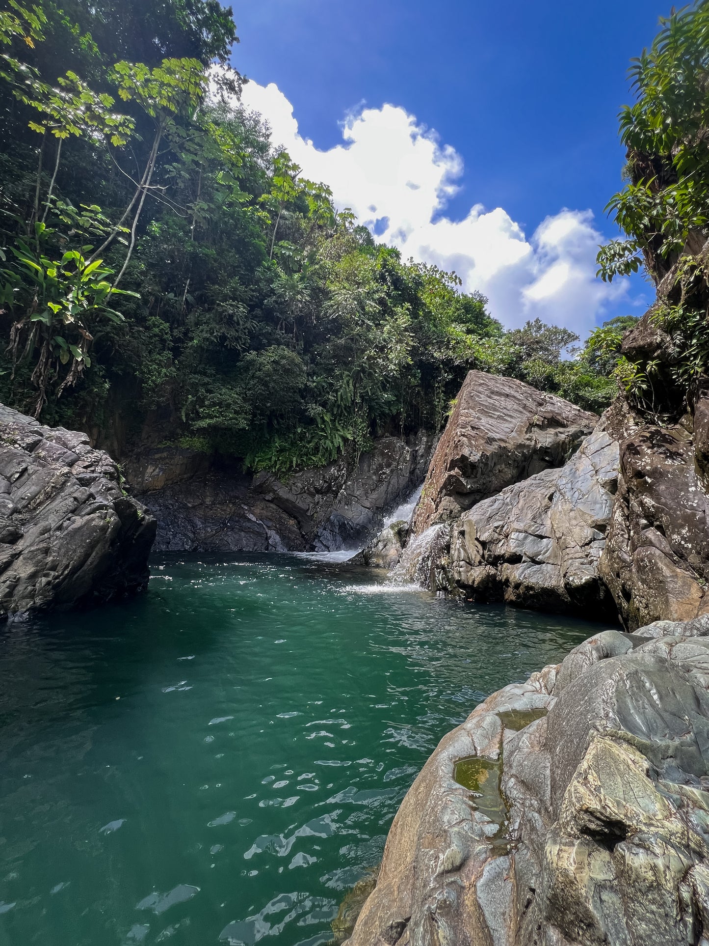 Rainforest River Adventure (Transportation Included)