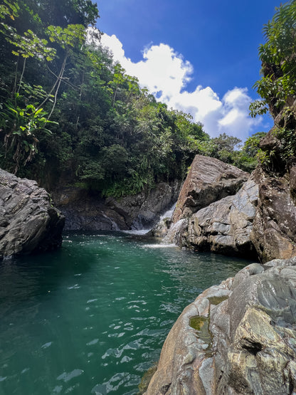 Rainforest River Adventure (Transportation Included)