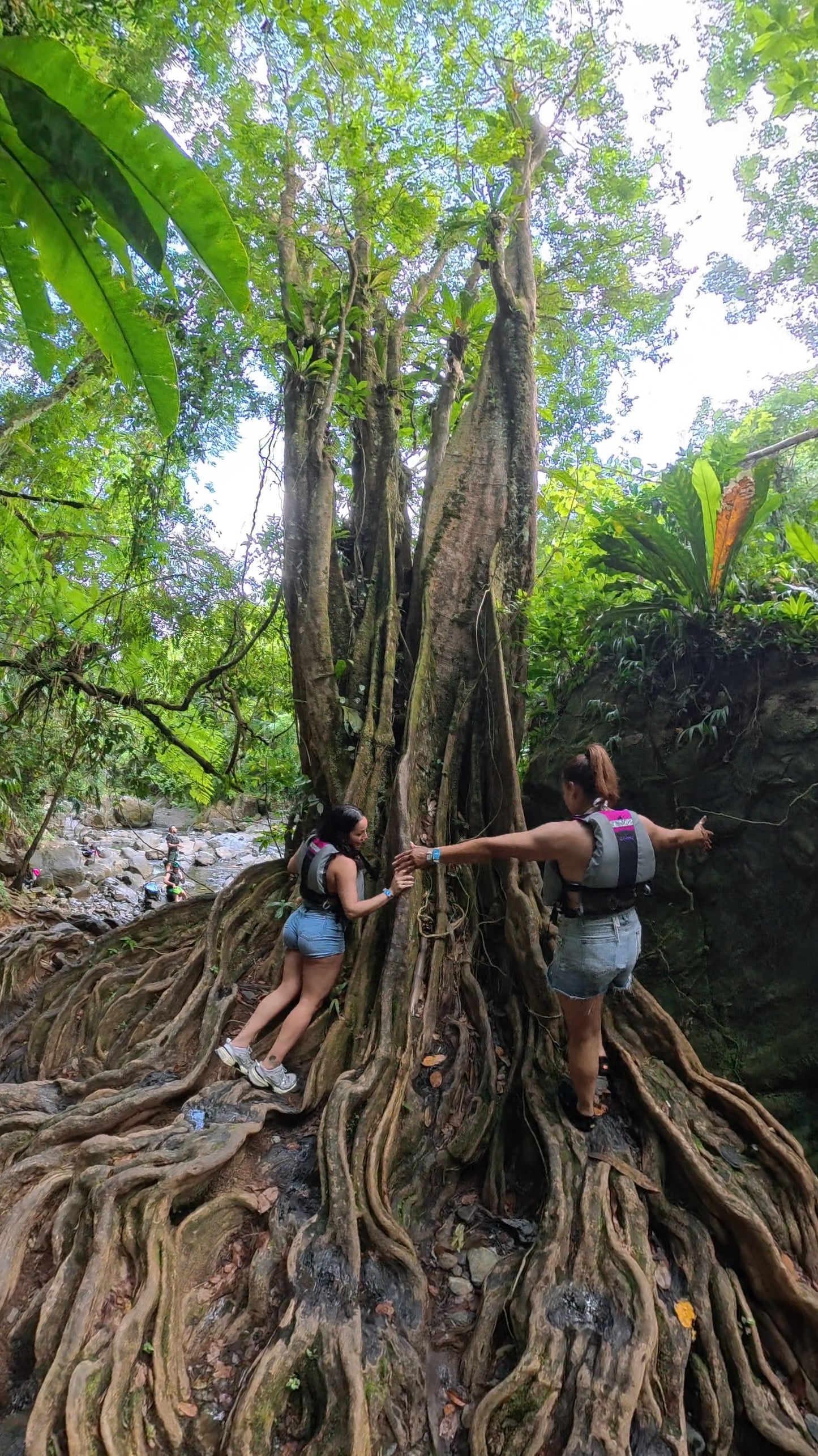 Rainforest River Adventure (Transportation Included)